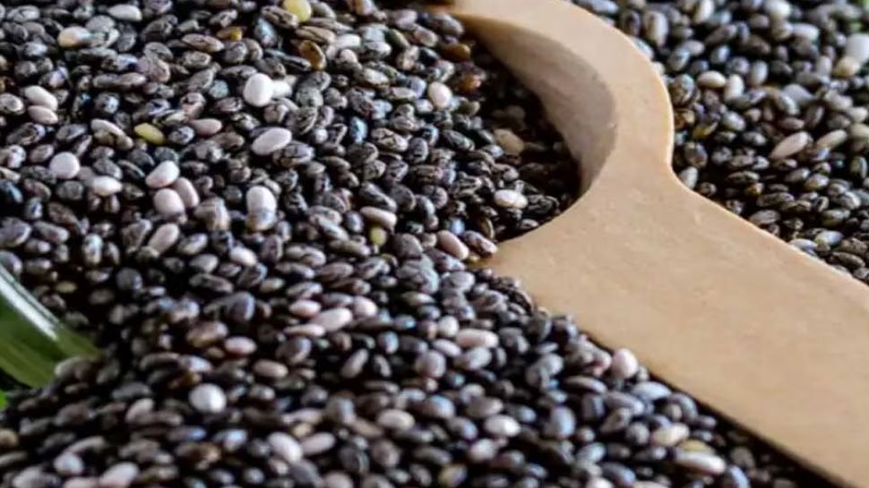 If you want to lose weight quickly then include Chia seeds in your diet benefits of chia seeds