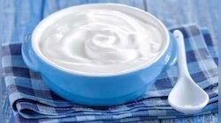 Curd with Sugar and Salt: പഞ്ചസാര അല്ലെങ്കിൽ ഉപ്പ് ചേര്‍ത്ത് തൈര് കഴിയ്ക്കുന്നത് ആരോഗ്യത്തിന് ഗുണകരമോ?