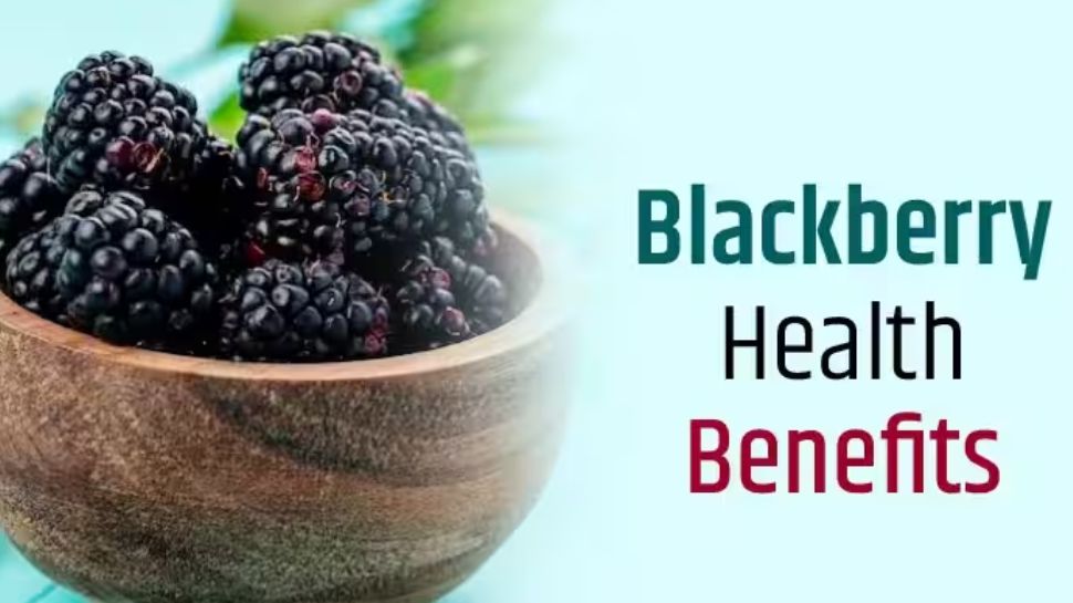 Did You Know Blackberry Is Super Healthy 8 Reasons Why This Should Be ...