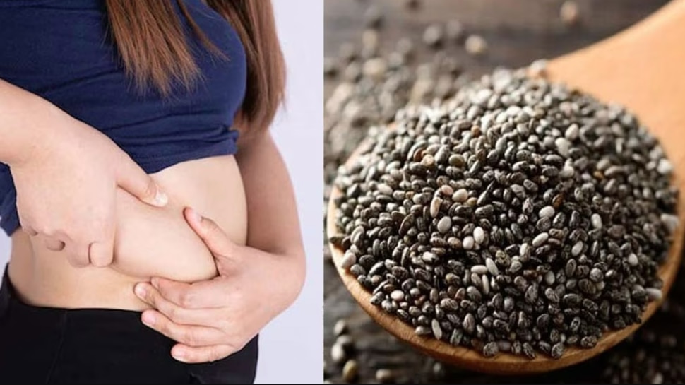 Chia seeds side effects തടി കുറയ്ക്കാൻ ഇവൻ ബെസ്റ്റാ...പക്ഷെ അധികം