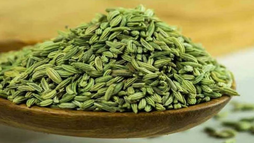 Know the amazing benefits of fennel seeds for quick weight loss l