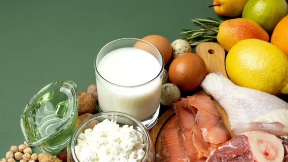  ProteinRich Diet പ്രോട്ടീൻ സമ്പുഷ്ടമായ ഡയറ്റാണോ നിങ്ങ