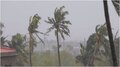 Kerala Weather Update: സംസ്ഥാനത്ത് വേനൽ മഴ തുടരും; നാല് ജില്ലകളിൽ ഇന്ന് യെല്ലോ അലർട്ട്