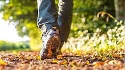 Benefits of walking: ഭക്ഷണം കഴിച്ചതിന് ശേഷം അൽപം നടക്കാം... നിരവധിയാണ് ​ഗുണങ്ങൾ