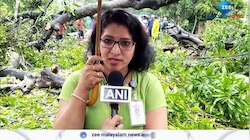 മരം കടപുഴകി വീണു..തൃശ്ശൂരിൽ കനത്ത മഴയും കാറ്റും