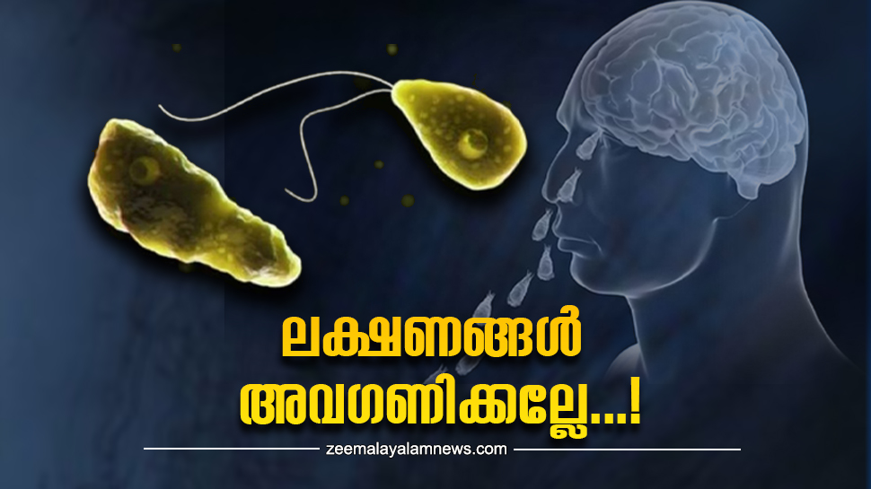 Brain Eating Amoeba: എന്താണ് പ്രൈമറി അമീബിക് മെനിഞ്ചോ എങ്കഫലൈറ്റിസ്? ഈ ലക്ഷണങ്ങൾ അവഗണിക്കരുത് Brain Eating Amoeba: എന്താണ് പ്രൈമറി അമീബിക് മെനിഞ്ചോ എങ്കഫലൈറ്റിസ്? ഈ ലക്ഷണങ്ങൾ അവഗണിക്കരുത്