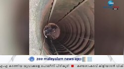കിണറ്റിൽ കുടുങ്ങിയ മഹാരാജൻ മരിച്ചു; മൃതദേഹം പുറത്തെടുത്തു