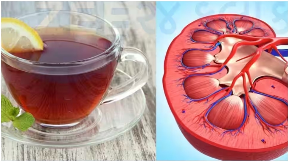 Do you drink a lot of black tea? Be careful, kidney damage may occur അമിതമായി കട്ടൻ ചായ