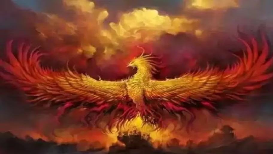 Vastu Tips put phoenix bird picture on this direction of house to get ...
