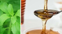 Sugar: പഞ്ചസാര ആരോ​ഗ്യത്തിന് വെല്ലുവിളി ഉയർത്തുന്നോ... ഈ ബദൽ മാർ​ഗങ്ങൾ പരീക്ഷിക്കാം