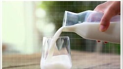 Calcium Requirement: പാൽ മാത്രം കുടിച്ചാൽ കാൽസ്യത്തിന്‍റെ കുറവ് നികത്താന്‍ കഴിയുമോ? 