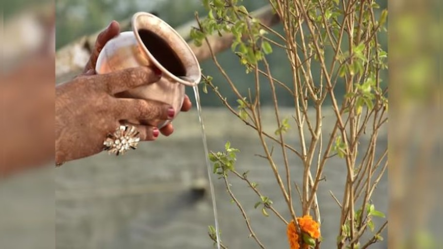 Tulsi Puja Rules: തുളസിയ്ക്ക് വെള്ളം ഒഴിയ്ക്കുമ്പോള്‍ ഇക്കാര്യങ്ങള്‍ ശ്രദ്ധിക്കാം, ലക്ഷ്മി ദേവിയുടെ കൃപ എന്നുമുണ്ടാകും 