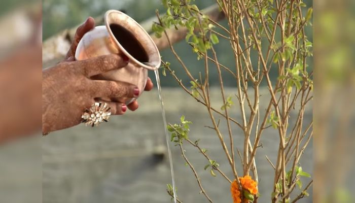 Tulsi Puja Rules: തുളസിയ്ക്ക് വെള്ളം ഒഴിയ്ക്കുമ്പോള് ഇക്കാര്യങ്ങള് ശ്രദ്ധിക്കാം, ലക്ഷ്മി ദേവിയുടെ കൃപ എന്നുമുണ്ടാകും Tulsi Puja Rules: തുളസിയ്ക്ക് വെള്ളം ഒഴിയ്ക്കുമ്പോള് ഇക്കാര്യങ്ങള് ശ്രദ്ധിക്കാം, ലക്ഷ്മി ദേവിയുടെ കൃപ എന്നുമുണ്ടാകും