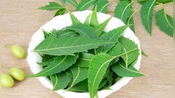 Neem for Hairfall: മുടി കൊഴിച്ചിൽ ഞൊടിയിടയില്‍ മാറും, വേപ്പ് ഈ വിധത്തില്‍ ഉപയോഗിച്ചു നോക്കൂ 