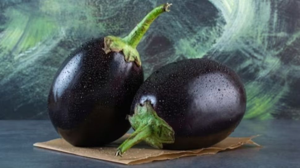 Eggplant Good Digestion To Diabetes Control You Must Know The Health