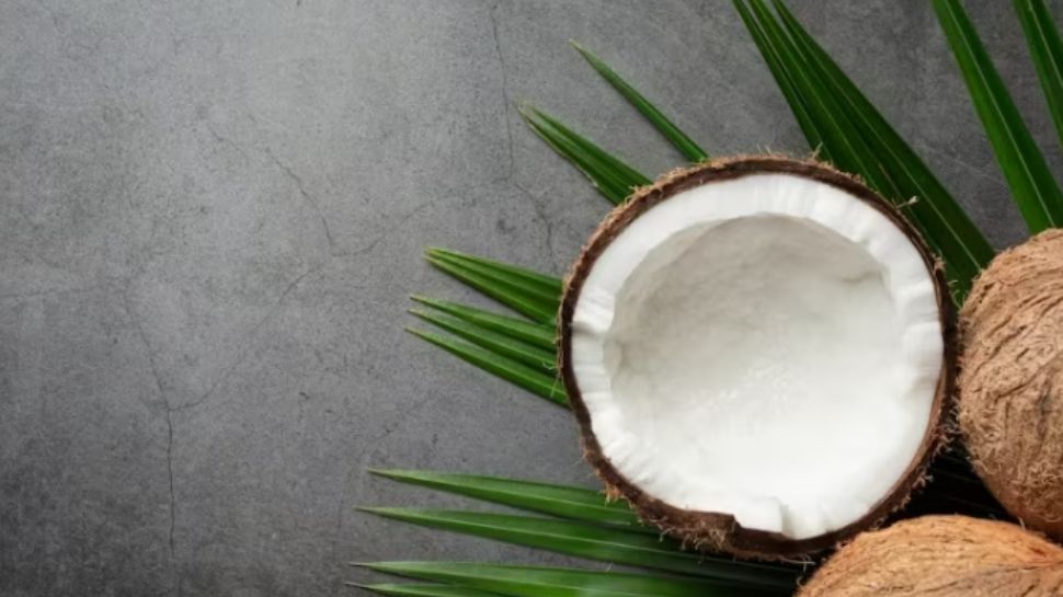 world-coconut-day-2023-coconut-for-weight-loss-coconut-health-benefits