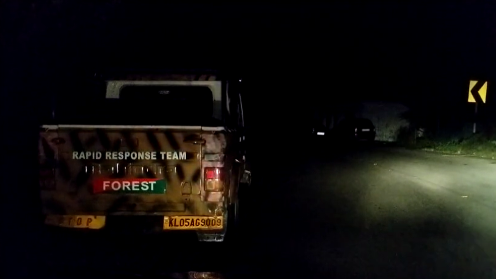 Tiger Spotted: വണ്ടിപെരിയാറിൽ വീണ്ടും കടുവയുടെ സാന്നിധ്യം Tiger Spotted: വണ്ടിപെരിയാറിൽ വീണ്ടും കടുവയുടെ സാന്നിധ്യം