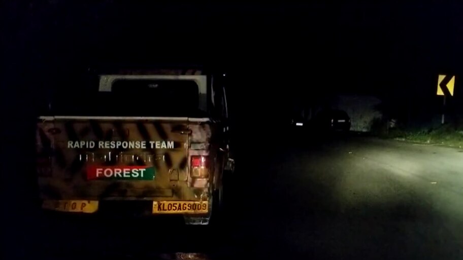 Tiger Spotted: വണ്ടിപെരിയാറിൽ വീണ്ടും കടുവയുടെ സാന്നിധ്യം 