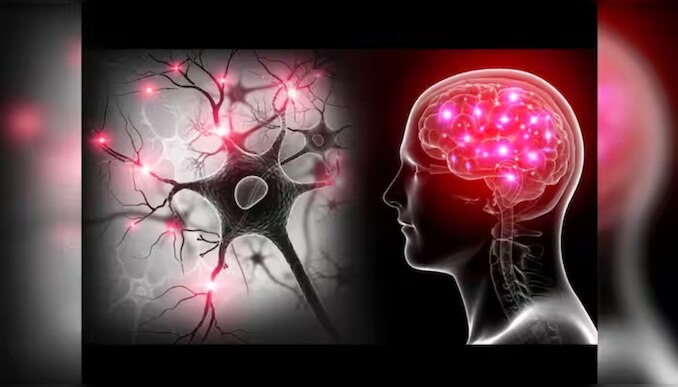 ചെയ്യരുത്..! ഈ ശീലങ്ങൾ നിങ്ങളുടെ തലച്ചോറിന്റെ ശക്തി നശിപ്പിക്കും