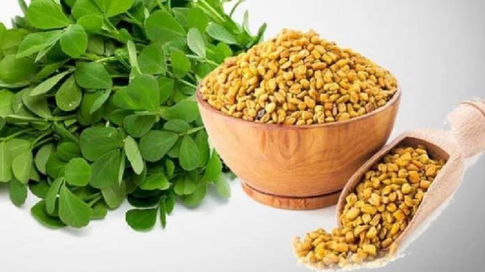 Fenugreek LeavesMedicinal properties of fenugreek leavesകൊളസ്ട്രോ