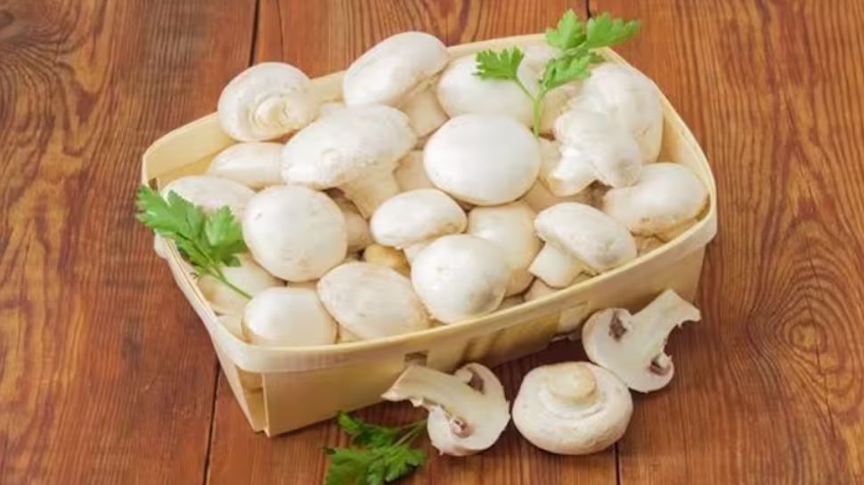 Benefits Of Mushrooms Know The Health Benefits Of Mushrooms Mushroom ആരോ ഗ്യത്തിന് അത്യുത്തമം