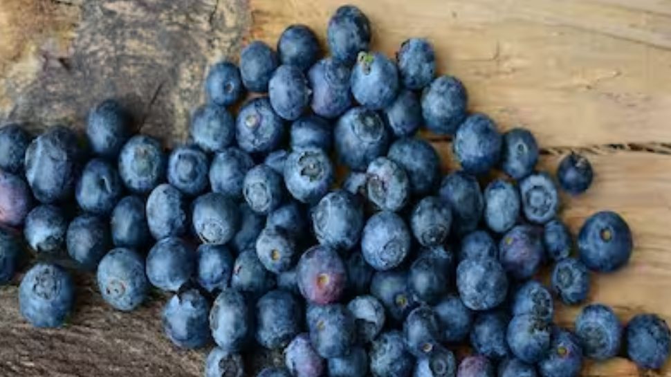 Anti Aging Foods: അകാല വാർധക്യം തടയാം... ചെറുപ്പം നിലനിർത്താം; ഭക്ഷണത്തിൽ ഉൾപ്പെടുത്താം ഇവ Anti Aging Foods: അകാല വാർധക്യം തടയാം... ചെറുപ്പം നിലനിർത്താം; ഭക്ഷണത്തിൽ ഉൾപ്പെടുത്താം ഇവ