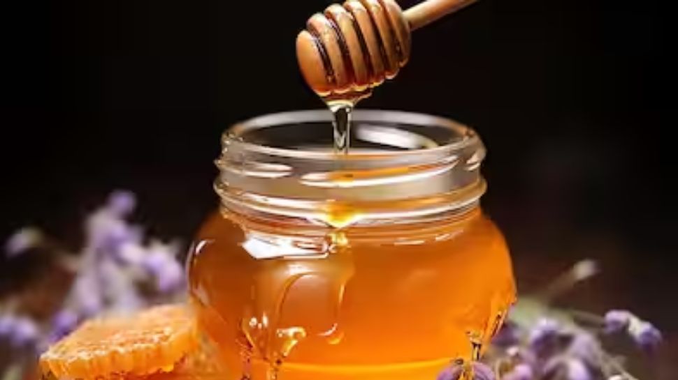 Honey Benefits: ശരീരഭാരം കുറയ്ക്കുന്നതിനപ്പുറം നിരവധിയാണ് തേനിന്റെ ഗുണങ്ങൾ Honey Benefits: ശരീരഭാരം കുറയ്ക്കുന്നതിനപ്പുറം നിരവധിയാണ് തേനിന്റെ ഗുണങ്ങൾ