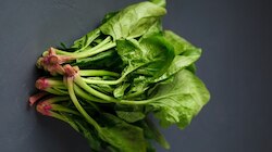 Spinach Benefits: മുടിയുടെ വളർച്ചയ്ക്ക് ചീര എണ്ണ? ചീര മാസ്ക്- ഗുണങ്ങൾ ഒരു കുട്ട