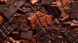 Dark Chocolate Benefits: ചോക്ലേറ്റ് പ്രേമികൾക്ക് സന്തോഷം നൽകുന്ന കാര്യം... ഡാർക്ക് ചോക്ലേറ്റ് കഴിച്ചാൽ നിരവധി ​ഗുണങ്ങൾ