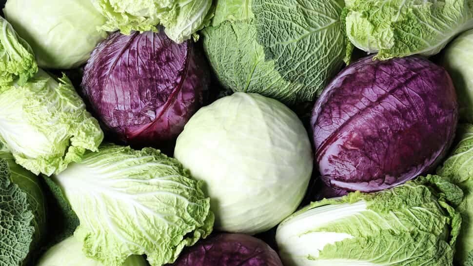 Solid reasons why you must include Cabbage in your daily diet health