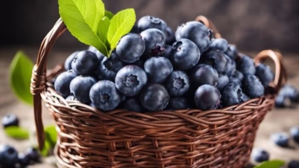 Blueberry Benefits 5 Ways How This Wholesome Fruit Can Lower The Risk