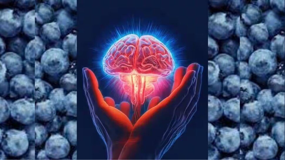 Brain Health Fruits that prevent Alzheimer's vitamin d rich fruitsഅ