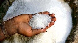 Sugar Export: പഞ്ചസാര കയറ്റുമതി നിരോധനം തുടരും, രാജ്യത്ത് പഞ്ചസാരയുടെ വില കുറയുമോ?