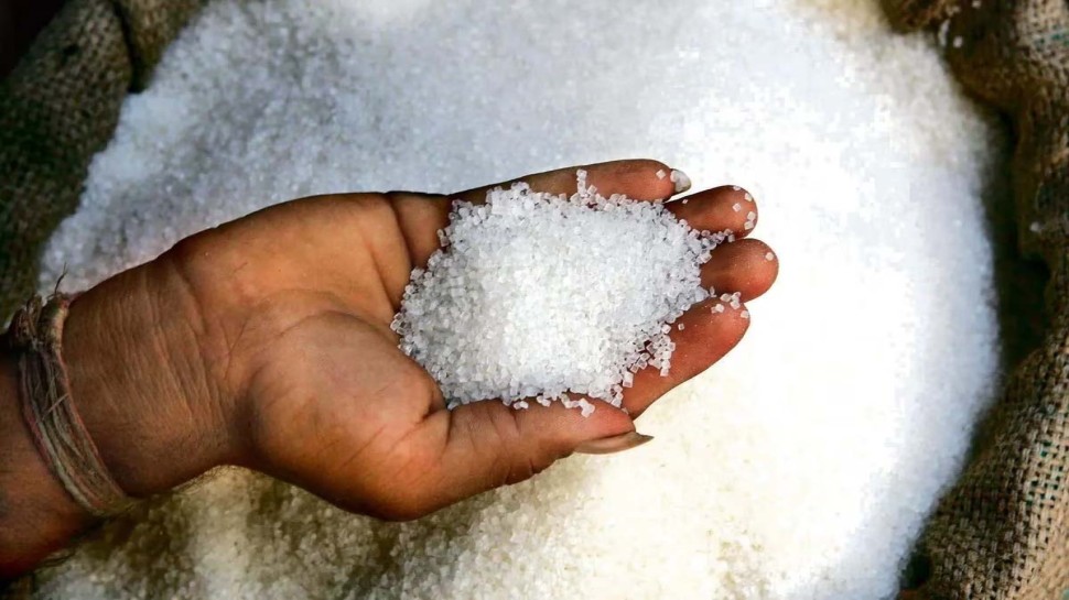 Sugar Export: പഞ്ചസാര കയറ്റുമതി നിരോധനം തുടരും, രാജ്യത്ത് പഞ്ചസാരയുടെ വില കുറയുമോ? Sugar Export: പഞ്ചസാര കയറ്റുമതി നിരോധനം തുടരും, രാജ്യത്ത് പഞ്ചസാരയുടെ വില കുറയുമോ?