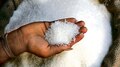 Sugar Export: പഞ്ചസാര കയറ്റുമതി നിരോധനം തുടരും, രാജ്യത്ത് പഞ്ചസാരയുടെ വില കുറയുമോ?