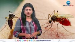 ഡെങ്കിപ്പനിയുടെ വ്യാപനവും പിടിമുറുക്കുന്നു