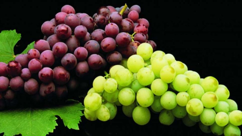 Health benefits of grapes Grapes benefits രോ ഗപ്രതിരോധ ശേഷി വ