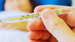 Dengue Fever: ഡങ്കിപ്പനി പരക്കുന്നു; ഈ പച്ചക്കറികൾ ശീലമാക്കിയാൽ പേടിക്കണ്ട!