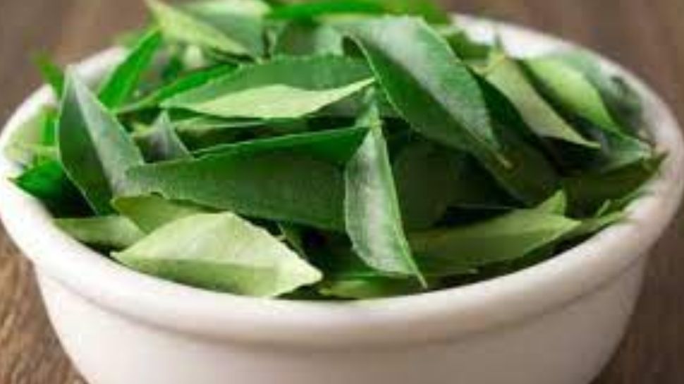 Health Benefits Of Curry Leaves: കറിവേപ്പില കളയേണ്ട.. ഗുണങ്ങൾ ഏറെ, അറിയാം