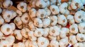Garlic Price Kerala | കിലോ 300 രൂപയിലേക്ക്  വെളുത്തുള്ളി വില, പൊന്നും വിലക്ക് കാരണം എന്ത്?