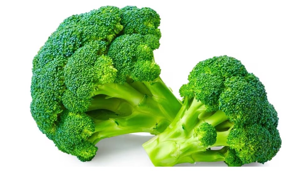 Broccoli Benefits ആള് കിടുവാ..! ബ്രൊക്കോളിക്കുണ്ട് ഈ ഗുണങ്ങൾ News in Malayalam