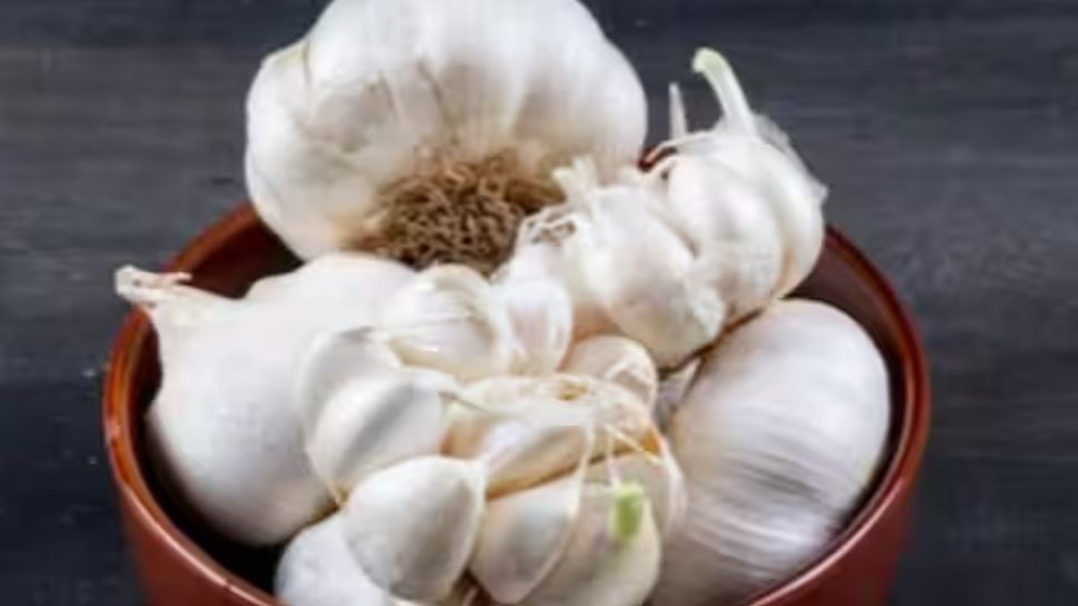 Garlic Health Benefits In Winter Five Reasons To Consume This Magical