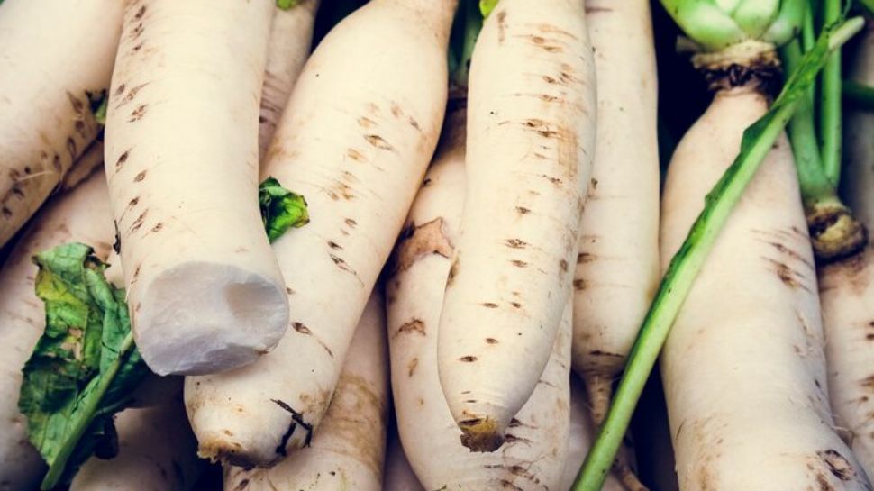 Radish Benefits in winter season ശൈത്യകാലത്ത് റാഡിഷ് കഴിക്കാം, ഗുണങ്ങ