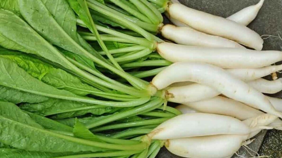 Radish Leaves Benefits Health benefits of having radish leavesകളയല്ലേ