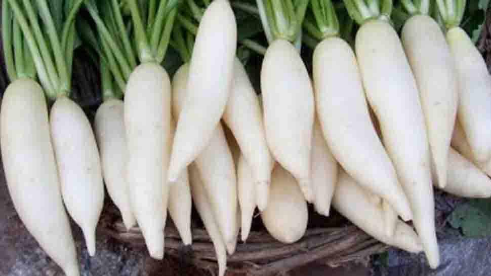 Radish Benefits Add This Vegetable Along With Your Diet Radish