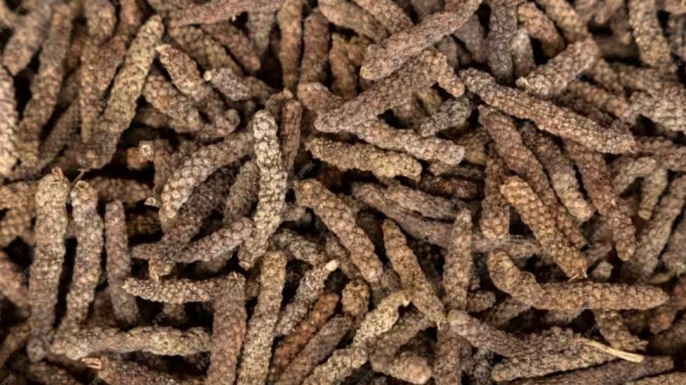 Long Pepper Benefits Constipation To Weight Loss 6 Reasons To Add Long