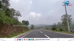 National Highway 66