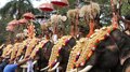 Elephant Attack: തൃശൂര്‍ കുന്നംകുളത്ത് ആന ഇടഞ്ഞു; രണ്ടാം പാപ്പാനെ എടുത്തെറിഞ്ഞു, ​ഗുരുതര പരിക്ക്
