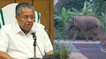 Wild Animal Attack : വന്യമൃഗങ്ങൾ വരുന്നത് കണ്ടെത്താൻ 250 ക്യാമറകൾ; വയനാട്ടിലെ വന്യജീവി  ആക്രമണം; മുഖ്യമന്ത്രിയുടെ അധ്യക്ഷതയിൽ ഉന്നതതല യോഗം ചേർന്നു