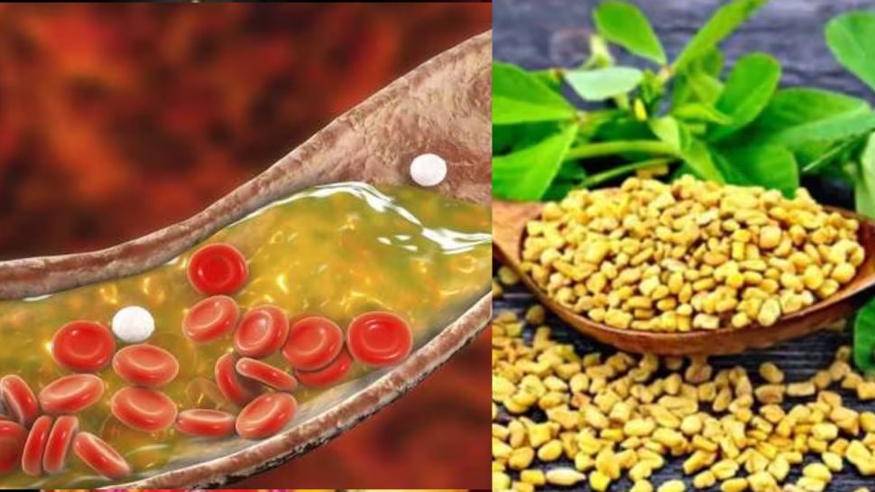 Methi Seeds For Cholesterol: ഉയർന്ന കൊളസ്ട്രോൾ നിയന്തിക്കാൻ ഡയറ്റിൽ ഇത് ഉൾപ്പെടുത്തൂ.. ഫലം ഉറപ്പ്! Methi Seeds For Cholesterol: ഉയർന്ന കൊളസ്ട്രോൾ നിയന്തിക്കാൻ ഡയറ്റിൽ ഇത് ഉൾപ്പെടുത്തൂ.. ഫലം ഉറപ്പ്!